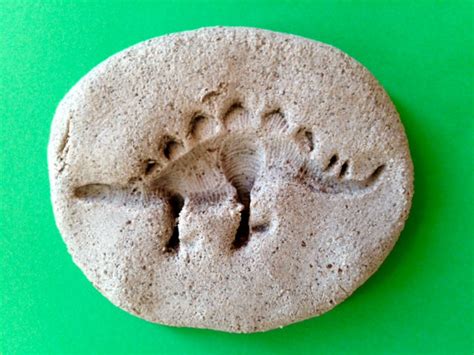 fossils baked in oven.